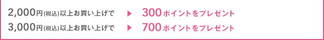 3,000円（税込）以上お買い上げで￥700引き　2,000円（税込）以上お買い上げで￥300引き