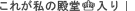 これが私の殿堂入り