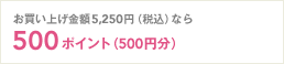 お買い上げ金額5,250円（税込）なら500ポイント（500円分）