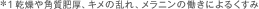 *1 乾燥や角質肥厚、キメの乱れ、メラニンの働きによるくすみ