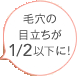 毛穴の目立ちが1/2以下に！