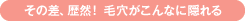 その差、歴然！毛穴がこんなに隠れる