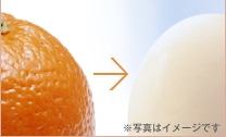 ※写真はイメージです