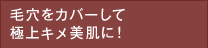 毛穴をカバーして極上キメ美肌に！