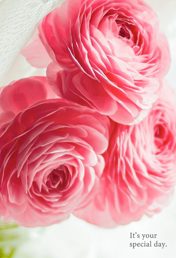 It’s your special day