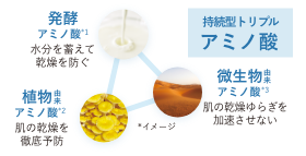 持続型トリプルアミノ酸/発酵アミノ酸*1 水分を蓄えて乾燥を防ぐ/植物由来アミノ酸*2 肌の乾燥を徹底予防/微生物由来アミノ酸*3 肌の乾燥ゆらぎを加速させない *イメージ