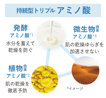 持続型トリプルアミノ酸/発酵アミノ酸*1 水分を蓄えて乾燥を防ぐ/植物由来アミノ酸*2 肌の乾燥を徹底予防/微生物由来アミノ酸*3 肌の乾燥ゆらぎを加速させない *イメージ