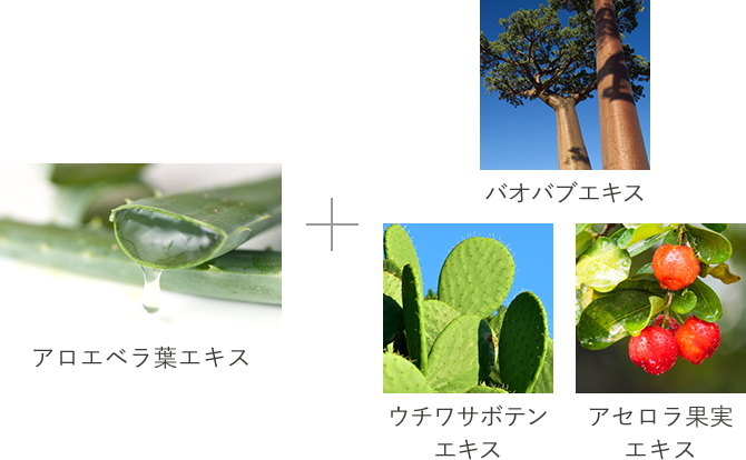 夏の冷やし美容特集 化粧品 スキンケア 基礎化粧品の通販 オルビス公式オンラインショップ 夏の冷やし美容特集 化粧品 スキンケア 基礎化粧品の通販 オルビス公式オンラインショップ