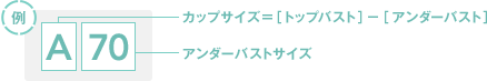 例 A70 A…カップサイズ ＝［トップバスト］－［アンダーバスト］ 70…アンダーバストサイズ