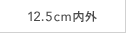 12.5cm内外