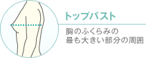 トップバスト 胸のふくらみの最も大きい部分の周囲