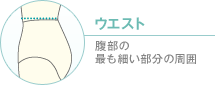 ウエスト 腹部の最も細い部分の周囲
