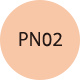 PN02