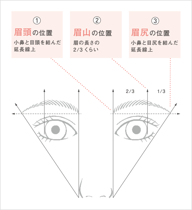 眉頭の位置 小鼻と目頭を結んだ延長線上 眉山の位置 眉の長さの2/3くらい 眉尻の位置 小鼻の目尻を結んだ延長線上