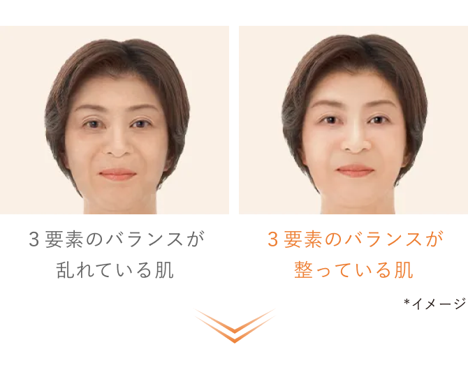 （比較）３要素のバランスが乱れている肌／３要素のバランスが整っている肌 *イメージ