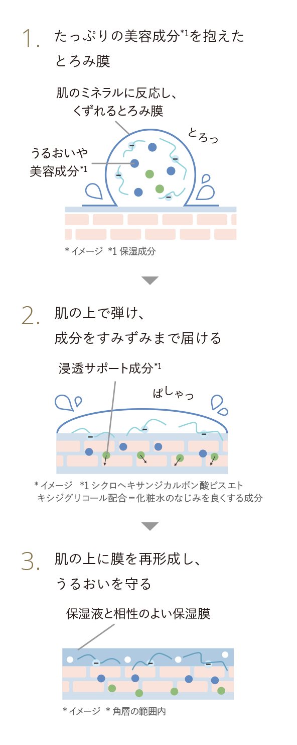 1.たっぷりの美容成分*1を抱えたとろみ膜 肌のミネラルに反応し、くずれるとろみ膜 うるおいや美容成分*1 *1 保湿成分 2.肌の上で弾け、成分をすみずみまで届ける 浸透サポート成分*1 *1 シクロヘキサンジカルボン酸ビスエトキシジグリコール配合＝化粧水のなじみを良くする成分	3.肌の上に膜を再形成し、うるおいを守る 保湿液と相性のよい保湿膜 *角層の範囲内