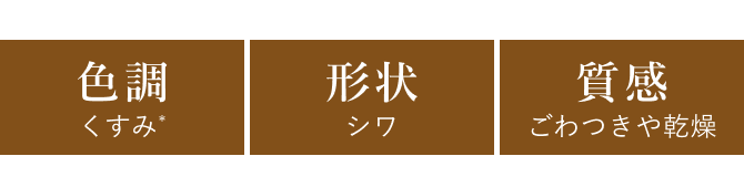 色調 くすみ*／形状 シワ／質感 ごわつきや乾燥