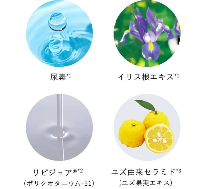 尿素*1／イリス根エキス*2／リピジュア®*2 (ポリクオタニウム-51)／ユズ由来セラミド*3 (ユズ果実エキス) *イメージ