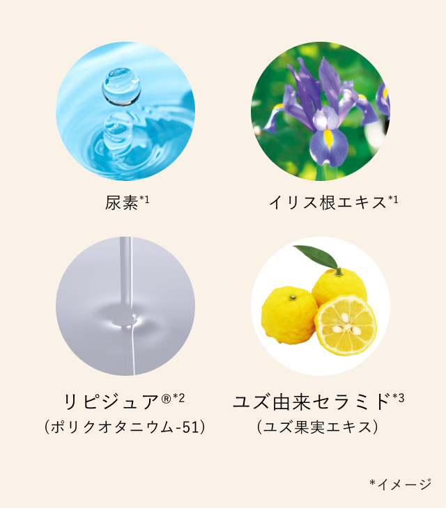 尿素*1／イリス根エキス*2／リピジュア®*2 (ポリクオタニウム-51)／ユズ由来セラミド*3 (ユズ果実エキス) *イメージ