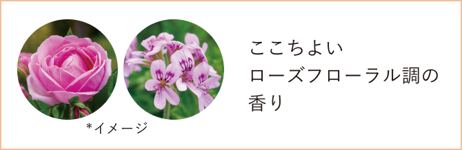 ここちよいローズフローラル調の香り／*イメージ