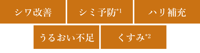 シワ改善／シミ予防*1／ハリ補充／うるおい不足／くすみ*2