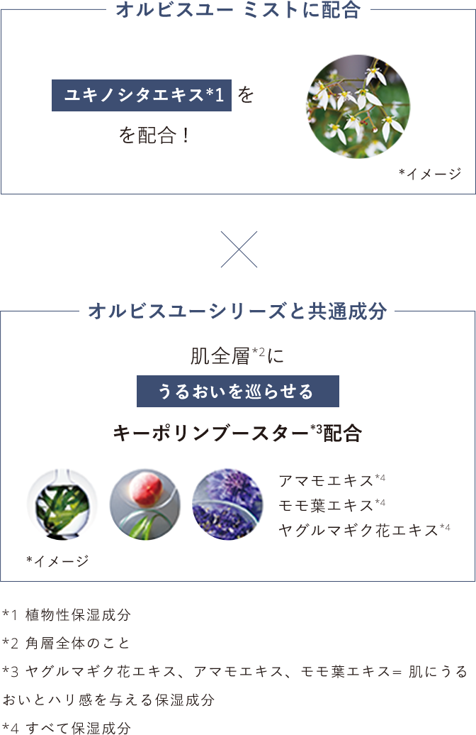 【オルビスユー ミストに配合】ユキノシタエキス*1を配合✖️【オルビスユーシリーズと共通成分】肌全層*2にうるおいを巡らせるキーポリンブースター*3配合 アマモエキス*4 モモ葉エキス*4 ヤグルマギク花エキス*4／*すべてイメージ *1 植物性保湿成分 *2 角質層全体のこと *3 ヤグルマギク花エキス、アマモエキス、モモ葉エキス＝肌にうるおいとハリ感を与える保湿成分 *4 すべて保湿成分