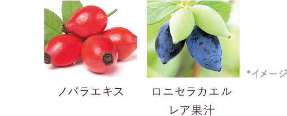 ノバラエキス／ロニセラカエルレア果汁 *イメージ
