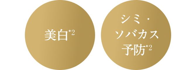 美白*2／シミ・ソバカス予防*2
