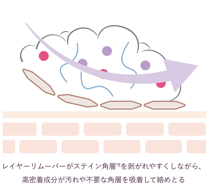 レイヤーリムーバーがステイン角層*9を剥がれやすくしながら、高密着成分が汚れや不要な角層を吸着して絡めとる