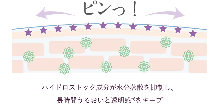 ハイドロストック成分が水分蒸散を抑制し、長時間うるおいと透明感*6をキープ