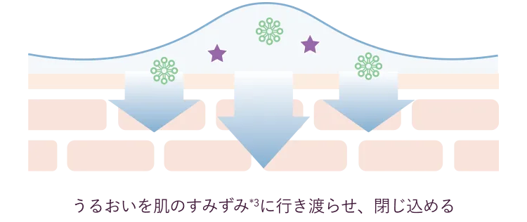 うるおいを肌のすみずみ*3に行き渡らせ、閉じ込める