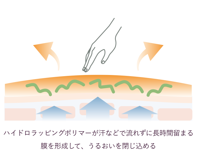 ハイドロラッピングポリマーが汗などで流れずに長時間留まる膜を形成して、うるおいを閉じ込める