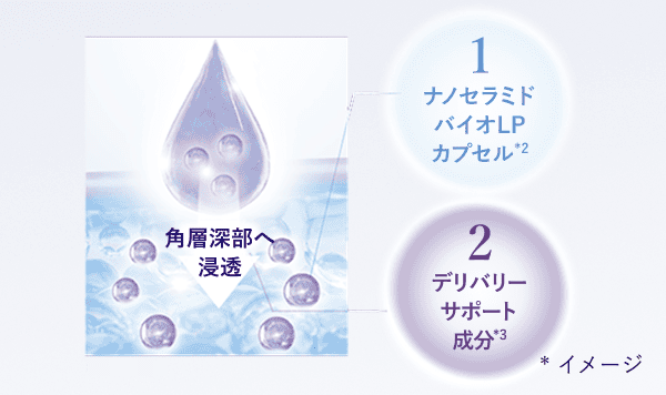 角層深部へ浸透！ 1 ナノセラミドバイオLPカプセル*2 2 デリバリーサポート成分*3 *イメージ