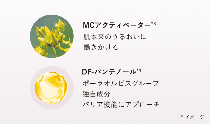 MCアクティベーター*3 肌本来のうるおいに働きかける DF-パンテノール*4 ポーラオルビスグループ独自成分バリア機能にアプローチ *イメージ