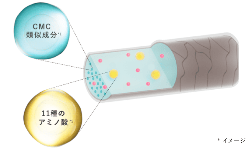 CMC類似成分*1 11種のアミノ酸*2 *イメージ