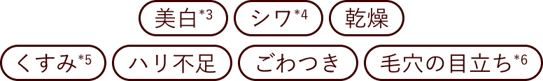 美白*2 シワ*3 乾燥 くすみ*4 ハリ不足 ごわつき 毛穴の目立ち*5