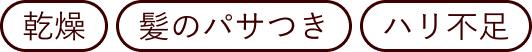 乾燥 髪のパサつき ハリ不足