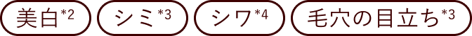 美白*2 シミ*3 シワ*4 毛穴の目立ち*3