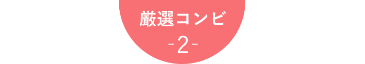 厳選コンビ-2-