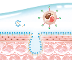 オルビス ザ クレンジング オイルの使用イメージ