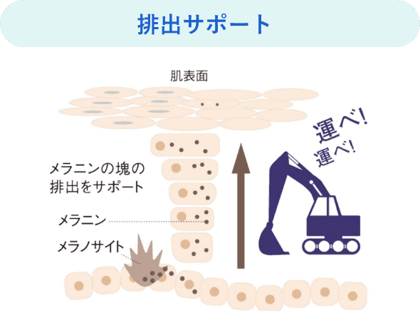排出サポートイメージ