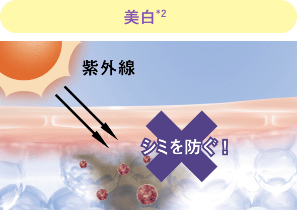 美白 紫外線 シミ防止イメージ