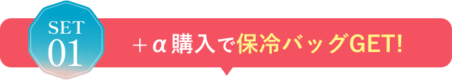SET01＋α購入で保冷バッグGET!