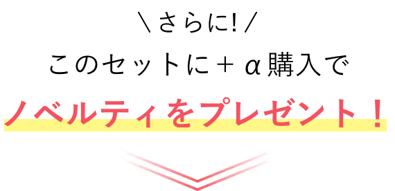 さらに!このセットに＋α購入でノベルティをプレゼント！