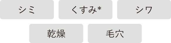 シミ くすみ（*） シワ 乾燥 毛穴