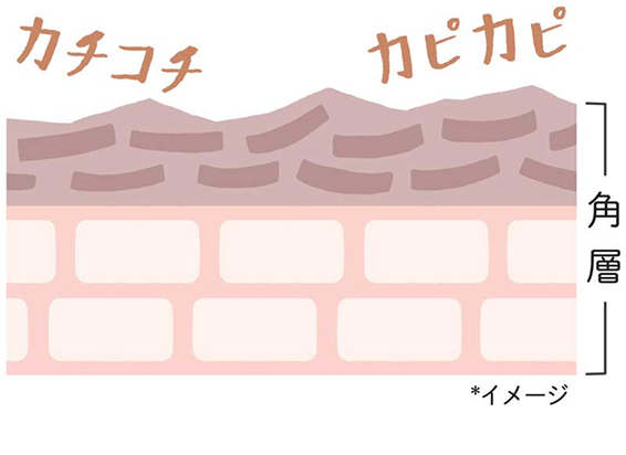カチコチ カピカピ 角層 （*）イメージ