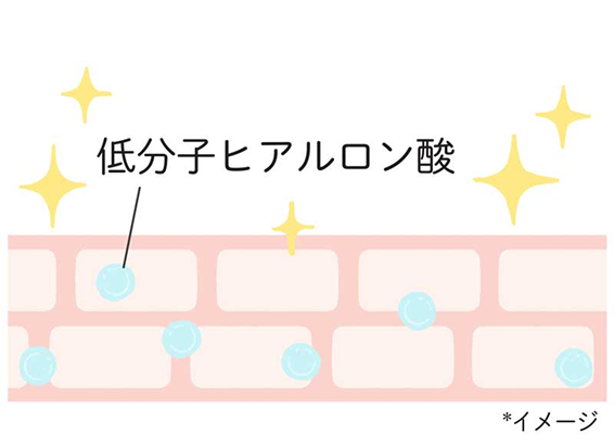 低分子ヒアルロン酸 （*）イメージ