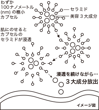 3大美容成分(ローヤルゼリーエキス、浸透型コラーゲン*2、エラスチン*3）ナノ化セラミドカプセル 効果イメージ図