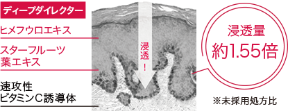 ヒメフウロエキス スターフルーツ葉エキス 速効性ビタミンC誘導体 浸透量約1.55倍 ※未採用処方比