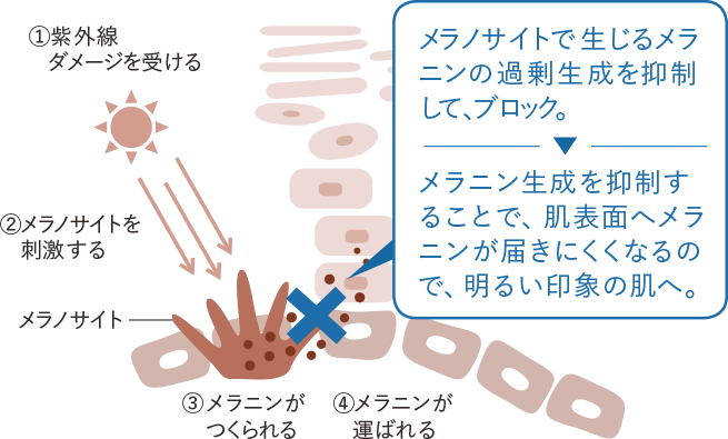 リンクルホワイトエッセンス 化粧品 スキンケア 基礎化粧品の通販 オルビス公式オンラインショップ